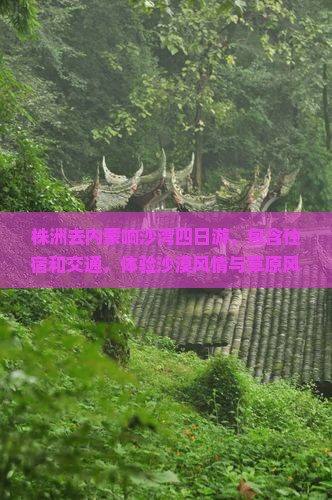 株洲去内蒙响沙湾四日游