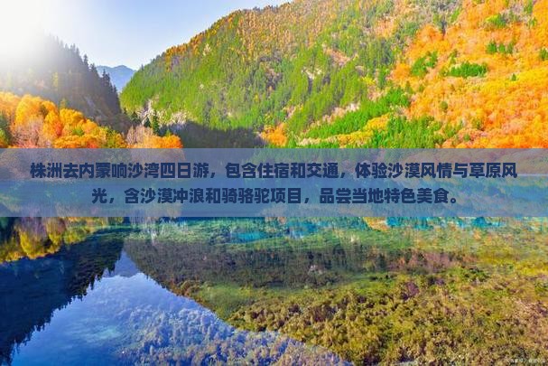 株洲去内蒙响沙湾四日游