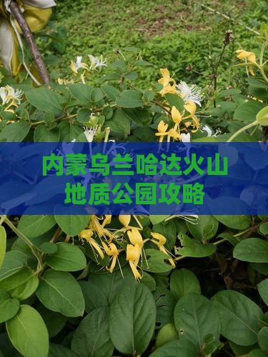 鄂州到内蒙乌兰哈达火山地质公园景点
