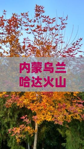 鄂州到内蒙乌兰哈达火山地质公园景点