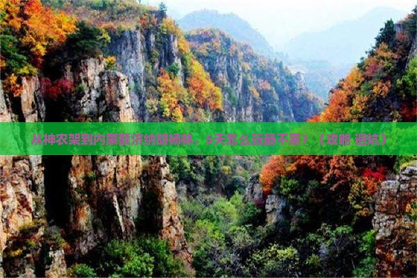 神农架去内蒙额济纳胡杨林哪里玩 神农架去内蒙额济纳胡杨林哪里玩