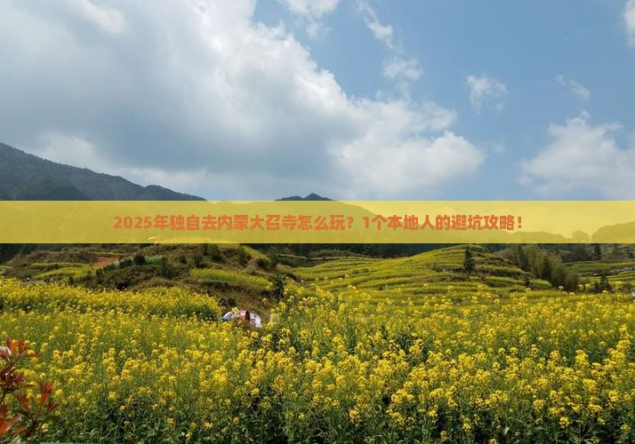 巴音郭楞去内蒙大召寺个人游