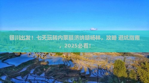 银川到内蒙额济纳胡杨林七日游
