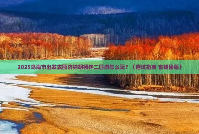 乌海市到内蒙额济纳胡杨林二日游