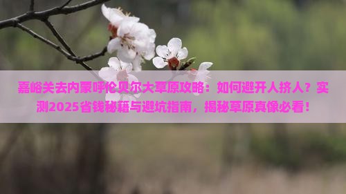 嘉峪关去内蒙呼伦贝尔大草原攻略