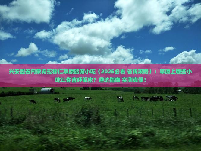 兴安盟去内蒙希拉穆仁草原旅游小吃
