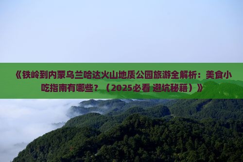 铁岭到内蒙乌兰哈达火山地质公园旅游小吃