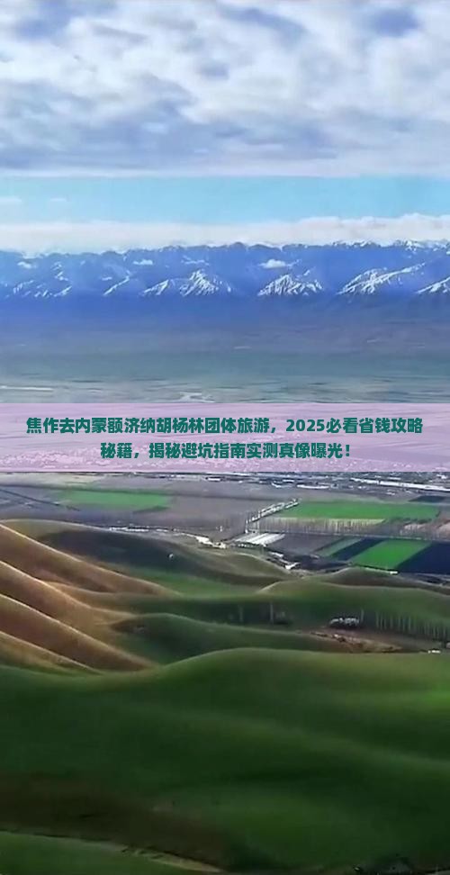 焦作去内蒙额济纳胡杨林团体旅游