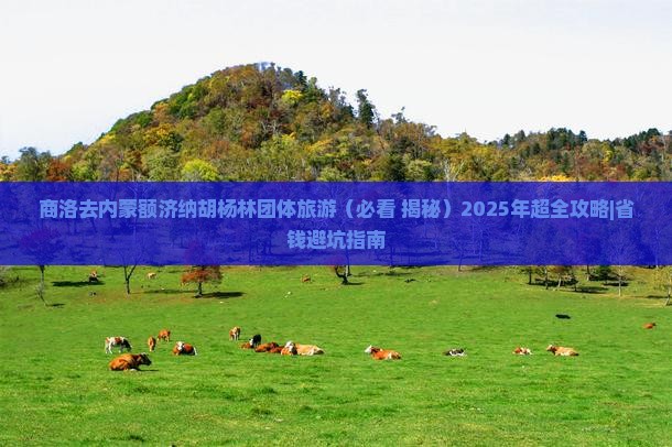 商洛去内蒙额济纳胡杨林团体旅游