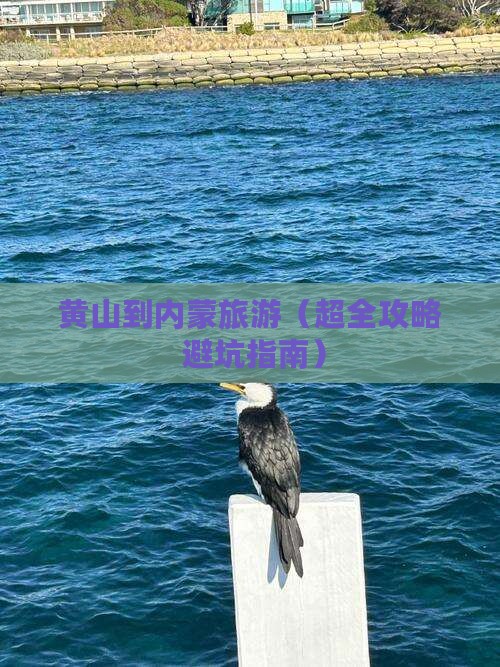 黄山到内蒙旅游