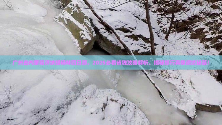 广州去内蒙额济纳胡杨林四日游