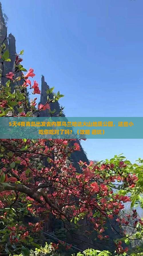 青岛去内蒙乌兰哈达火山地质公园旅游小吃