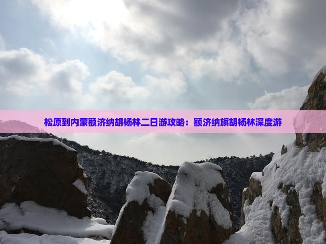 松原到内蒙额济纳胡杨林二日游