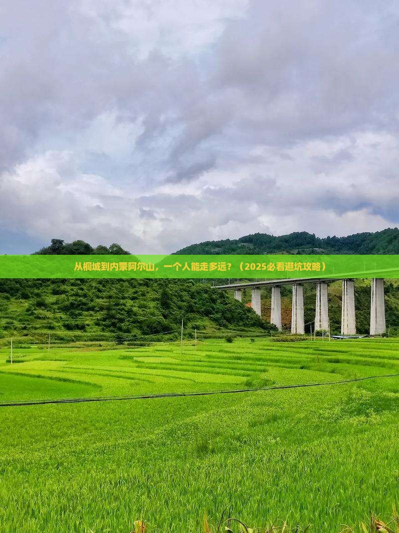 桐城到内蒙阿尔山国家森林公园个人游