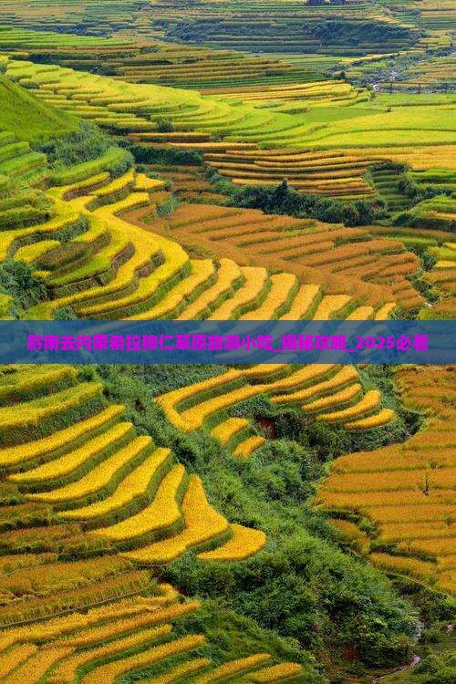黔南去内蒙希拉穆仁草原旅游小吃