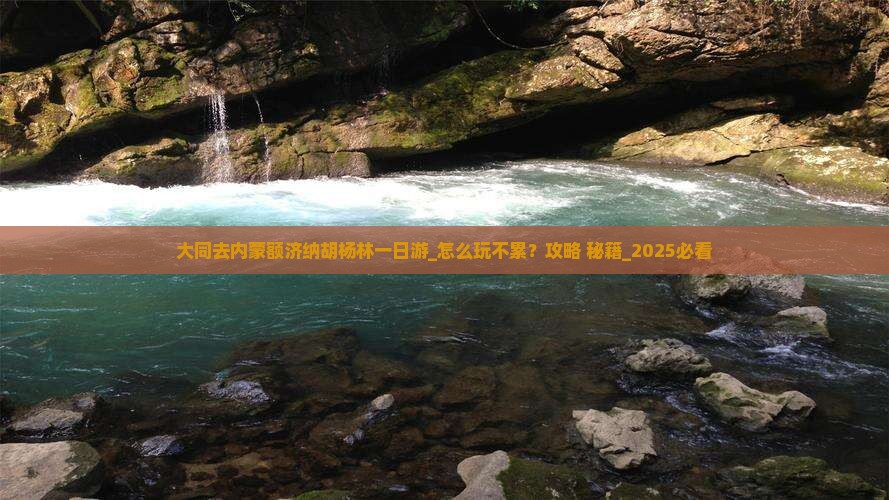 大同去内蒙额济纳胡杨林一日游