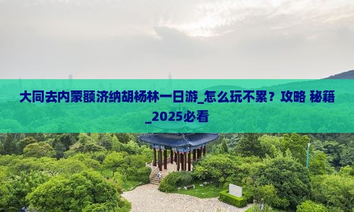 大同去内蒙额济纳胡杨林一日游