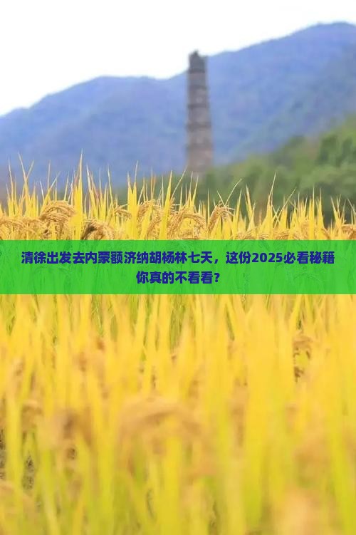 清徐到内蒙额济纳胡杨林七日游