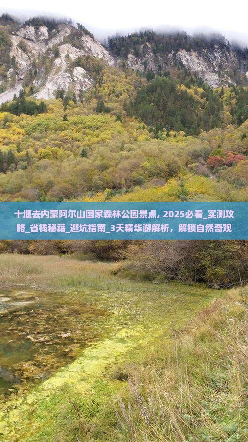 十堰去内蒙阿尔山国家森林公园景点