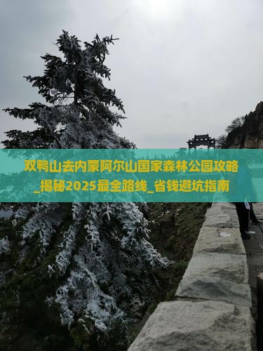 双鸭山去内蒙阿尔山国家森林公园攻略