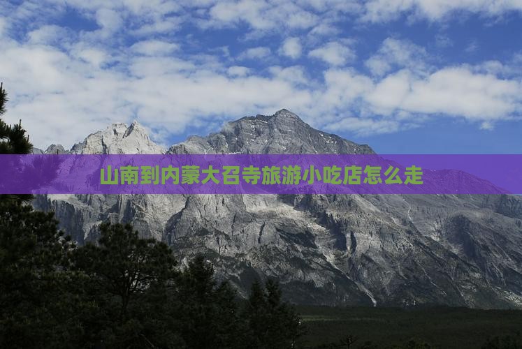 山南到内蒙大召寺旅游小吃