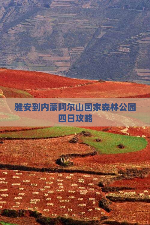 雅安到内蒙阿尔山国家森林公园四日游 雅安到内蒙阿尔山国家森林公园四日游