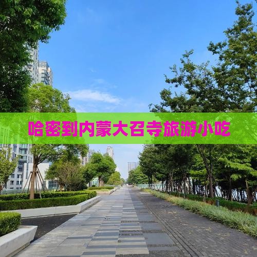 哈密到内蒙大召寺旅游小吃
