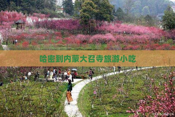 哈密到内蒙大召寺旅游小吃