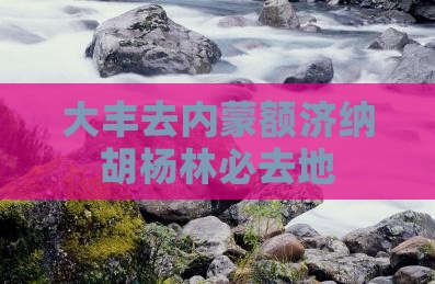 大丰去内蒙额济纳胡杨林必去地