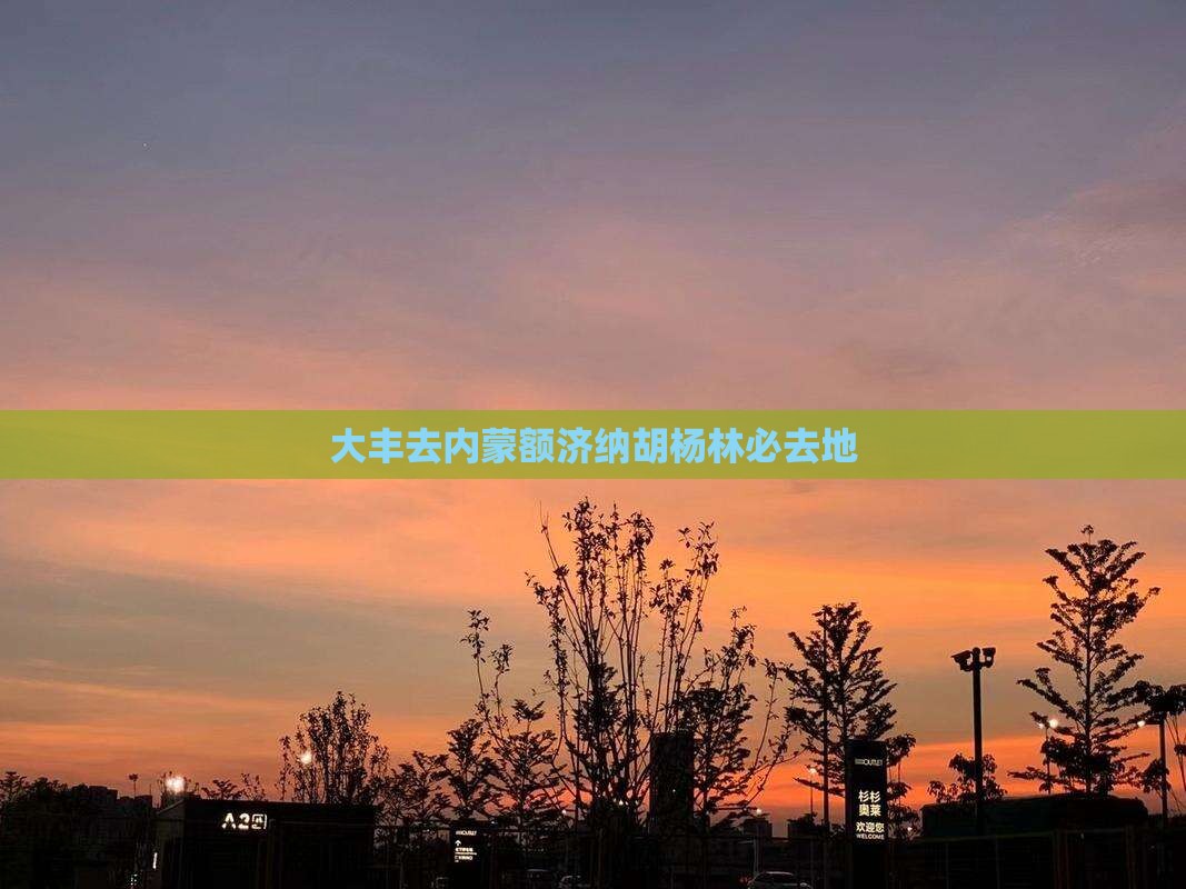 大丰去内蒙额济纳胡杨林必去地