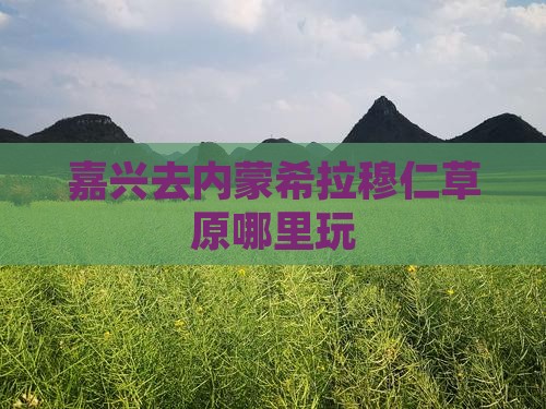 嘉兴去内蒙希拉穆仁草原哪里玩