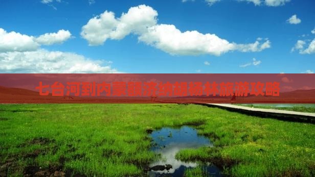 七台河到内蒙额济纳胡杨林旅游