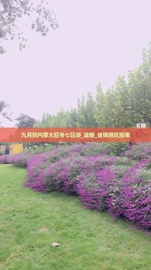 九月到内蒙大召寺七日游