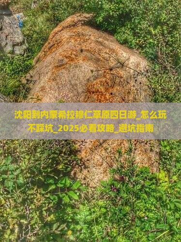 沈阳到内蒙希拉穆仁草原四日游
