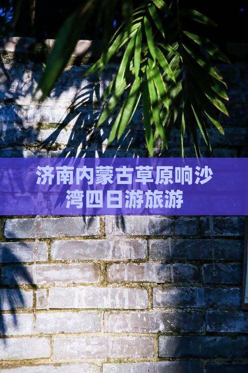 济南去内蒙响沙湾四日游