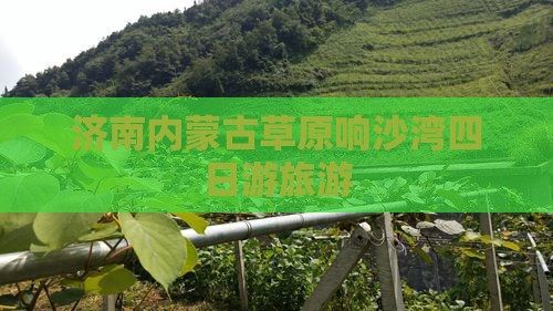 济南去内蒙响沙湾四日游