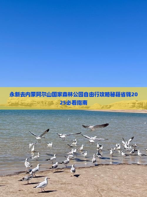 永新去内蒙阿尔山国家森林公园自由行