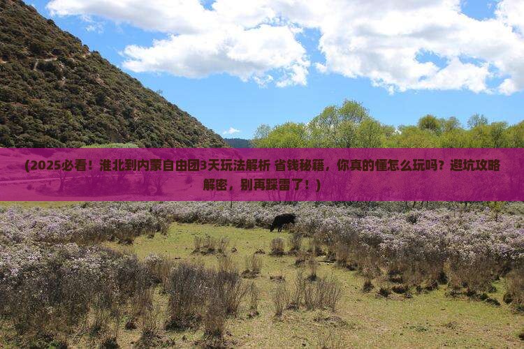 淮北到内蒙自由团