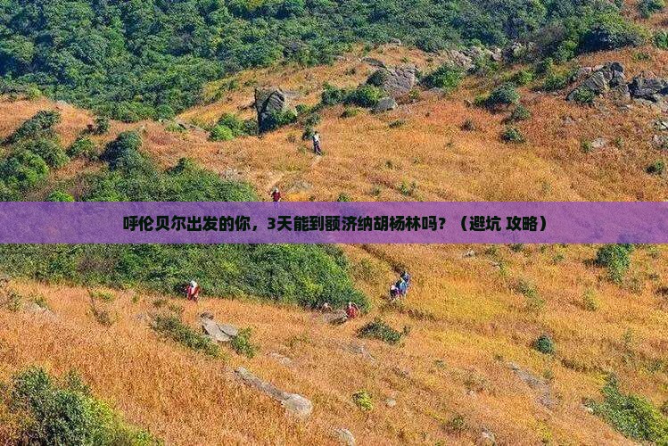 呼伦贝尔到内蒙额济纳胡杨林自由行