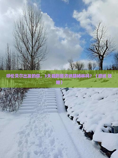 呼伦贝尔到内蒙额济纳胡杨林自由行