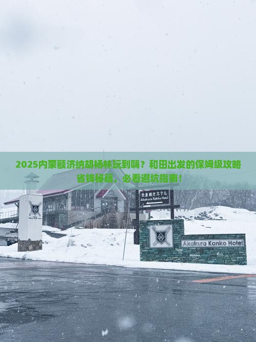 和田去内蒙额济纳胡杨林哪里玩