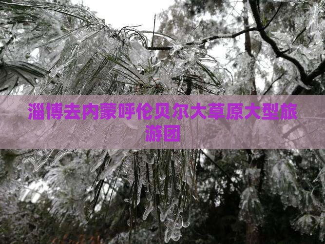 淄博去内蒙呼伦贝尔大草原大型旅游团