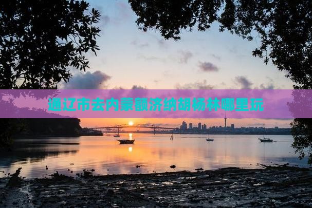 通辽市去内蒙额济纳胡杨林哪里玩