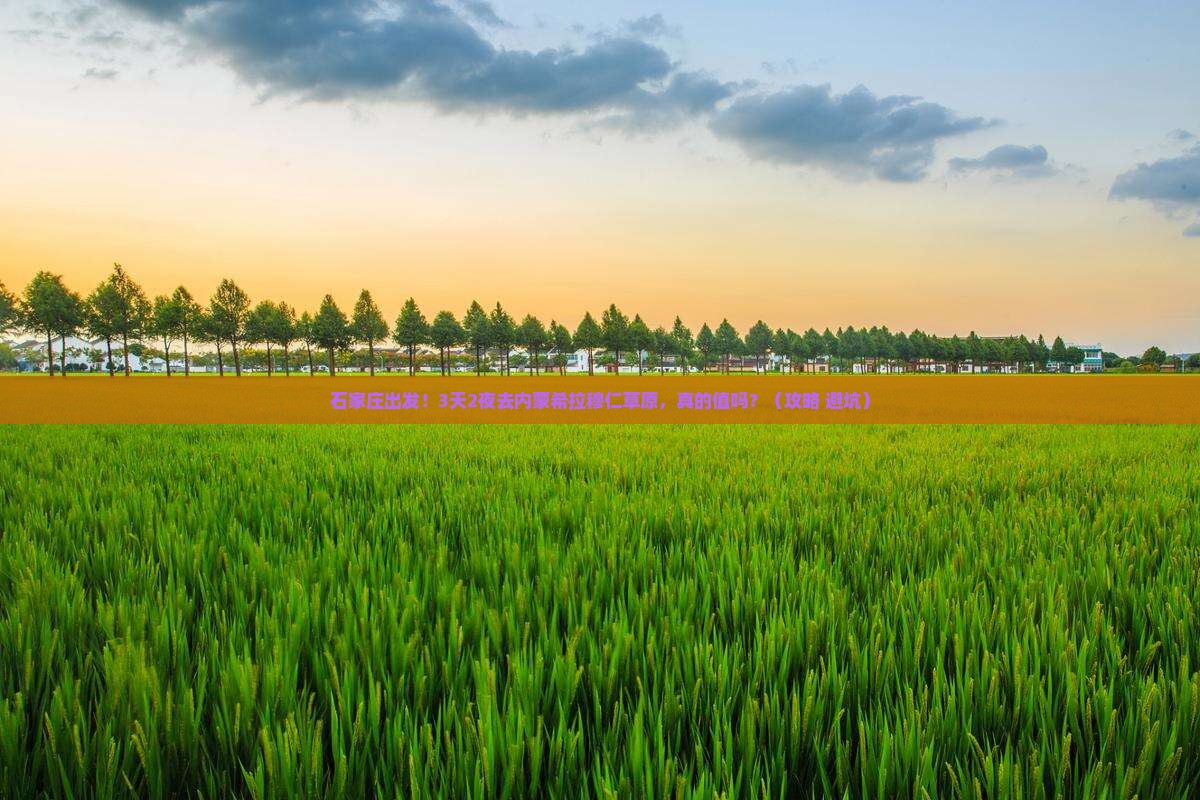 石家庄到内蒙希拉穆仁草原大型旅游团 石家庄到内蒙希拉穆仁草原大型旅游团