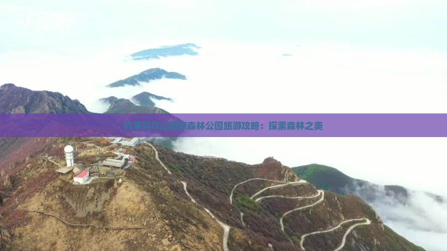 贺州去内蒙阿尔山国家森林公园景点