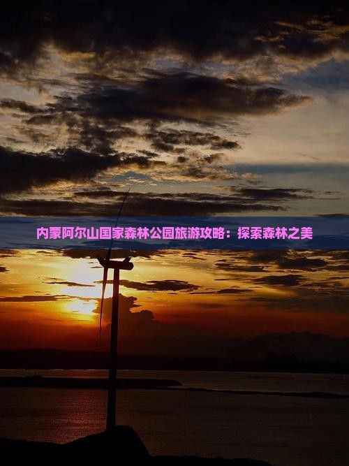 贺州去内蒙阿尔山国家森林公园景点