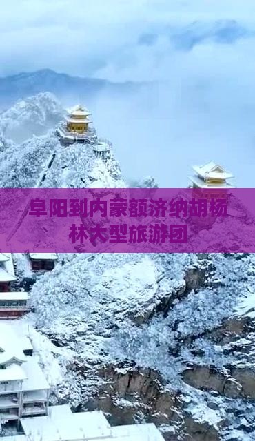 阜阳到内蒙额济纳胡杨林大型旅游团