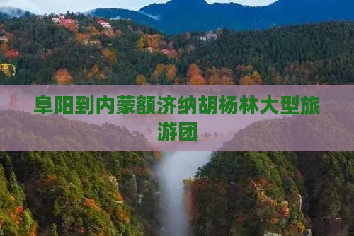阜阳到内蒙额济纳胡杨林大型旅游团