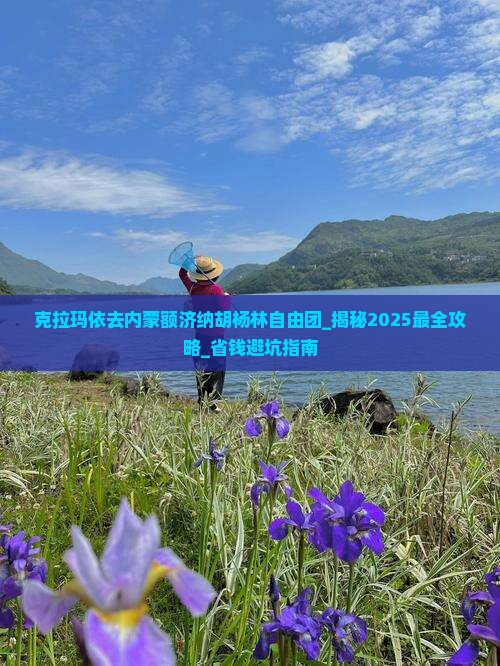 克拉玛依去内蒙额济纳胡杨林自由团