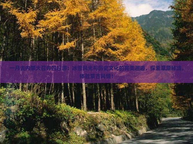 一月去内蒙大召寺四日游